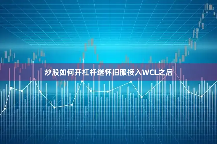 炒股如何开杠杆继怀旧服接入WCL之后