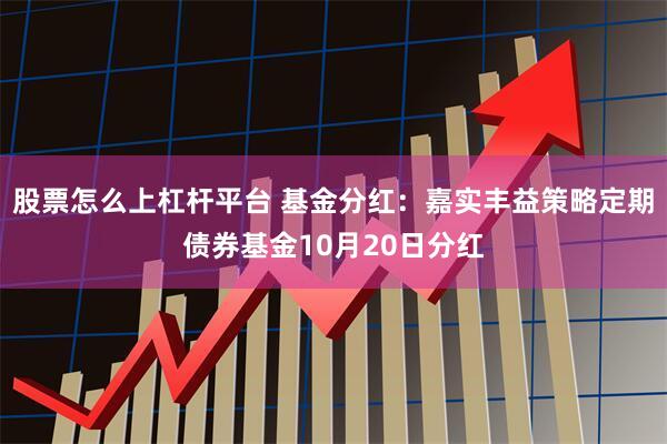 股票怎么上杠杆平台 基金分红:嘉实丰益策略定期债券基金10月20日分红