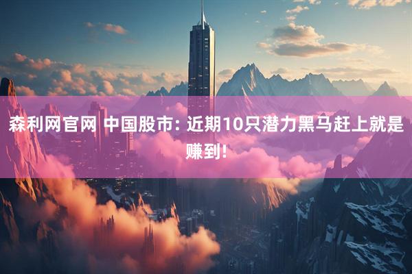 森利网官网 中国股市: 近期10只潜力黑马赶上就是赚到!