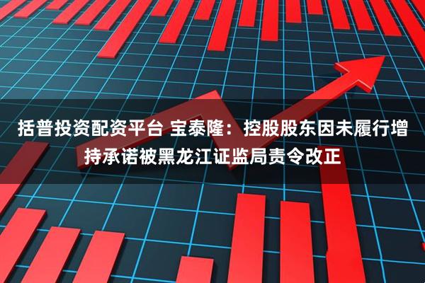 括普投资配资平台 宝泰隆：控股股东因未履行增持承诺被黑龙江证监局责令改正
